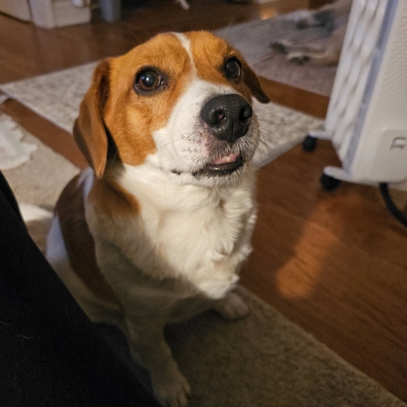 Meet your Posher, Ryan - Picture 1 of 1